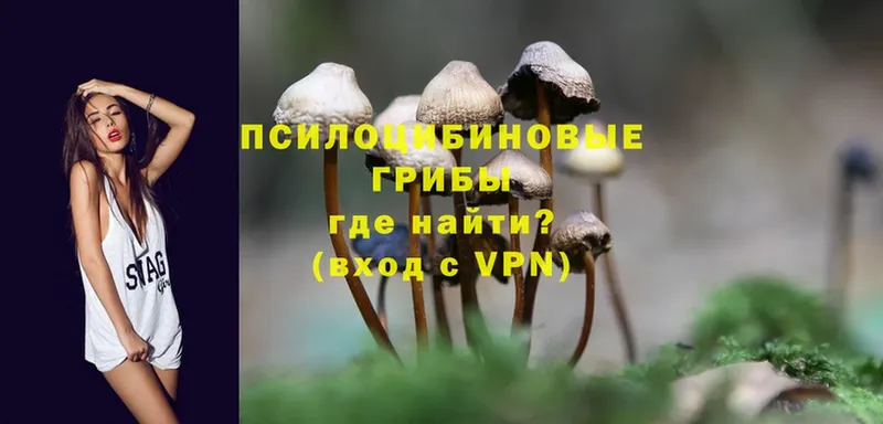 Галлюциногенные грибы Magic Shrooms  купить наркоту  Разумное 